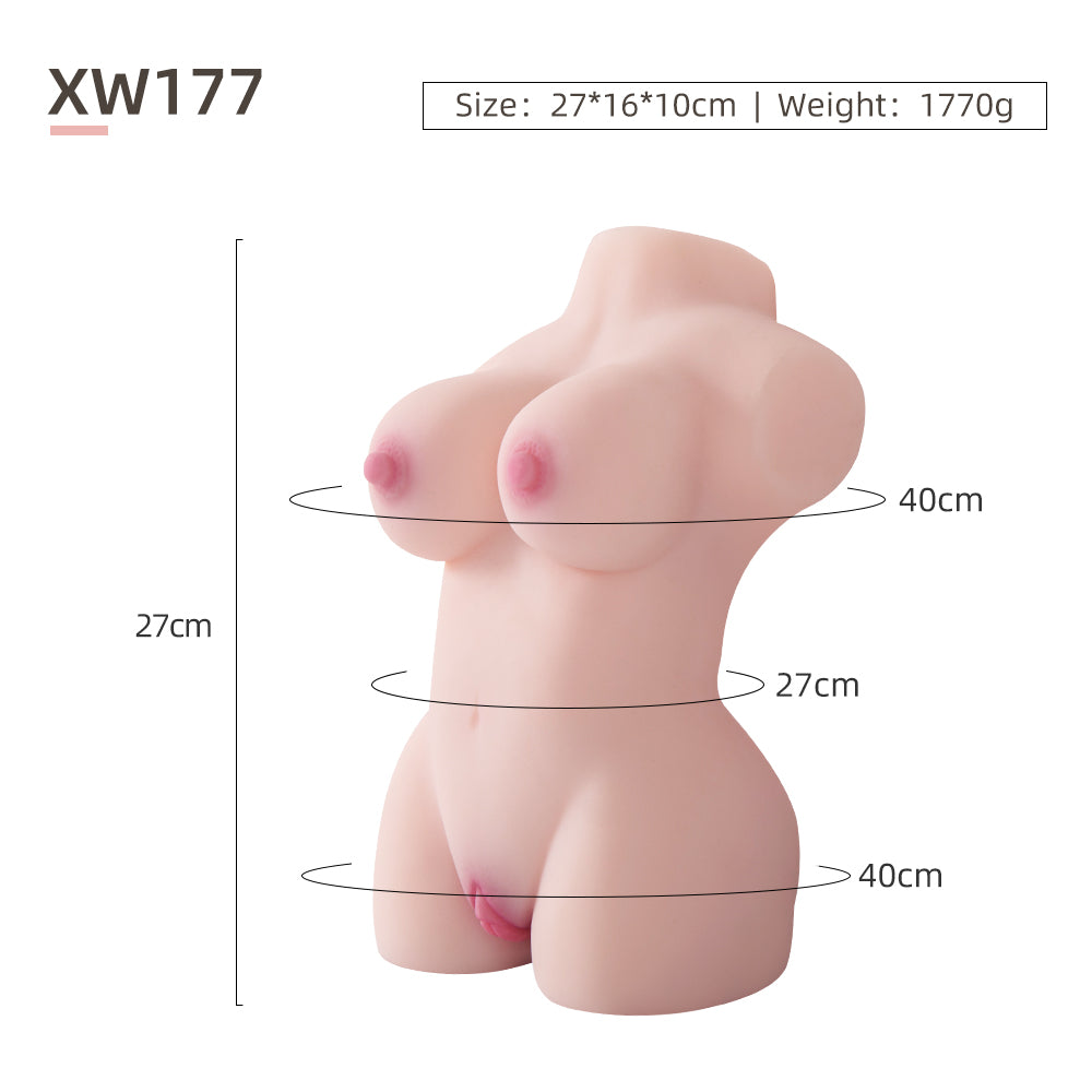 Female Torso (No Skeleton)-XW177