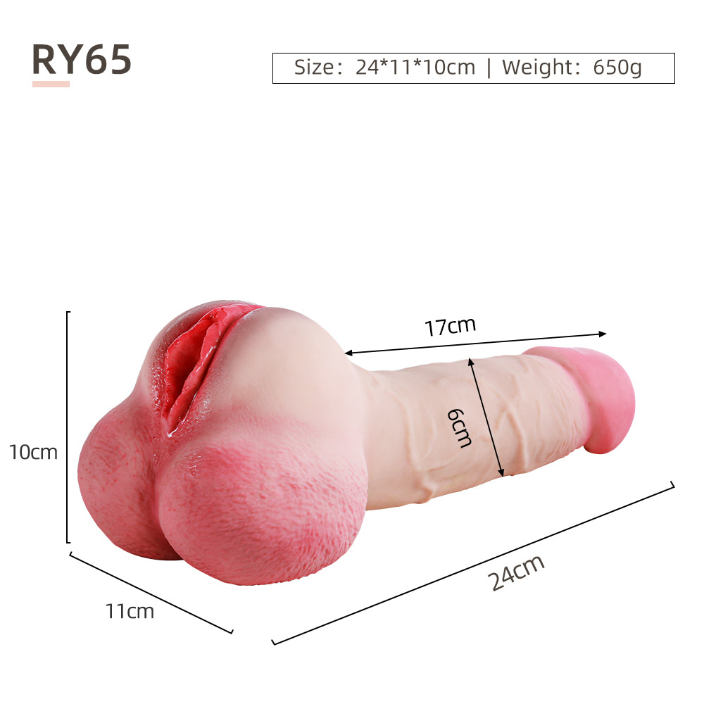 Male Model – Genital Version-RY65