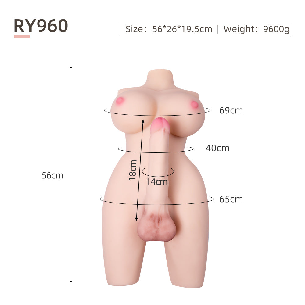 Trans Model-RY960