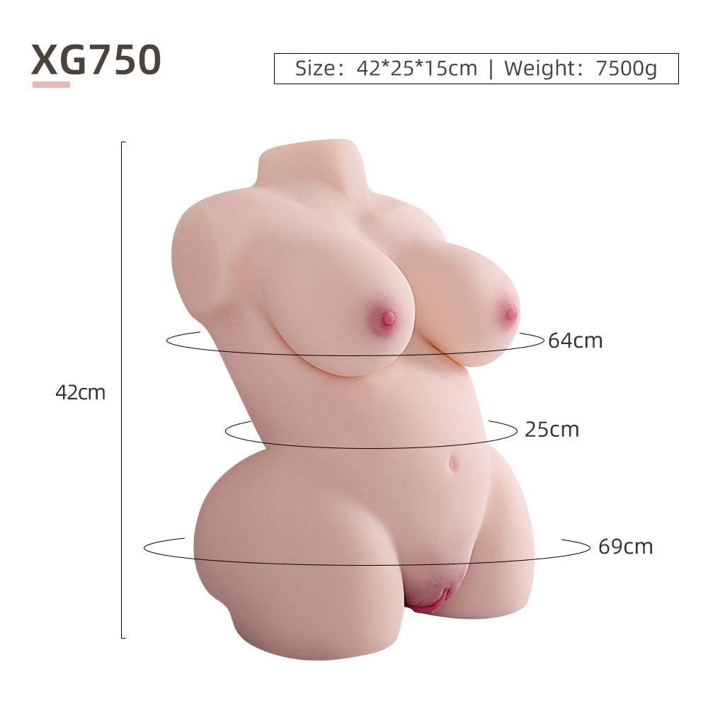 Female Torso (With Skeleton)-XW750