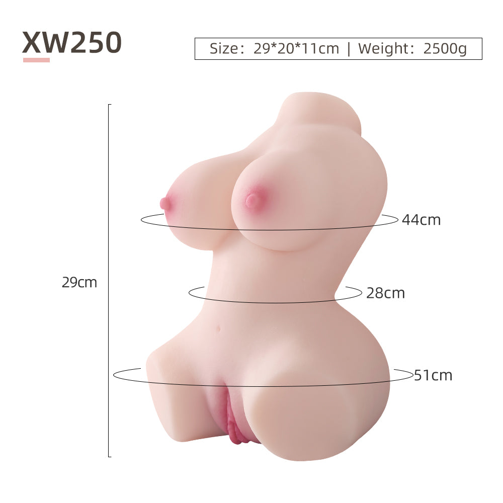 Female Torso (No Skeleton)-XW250