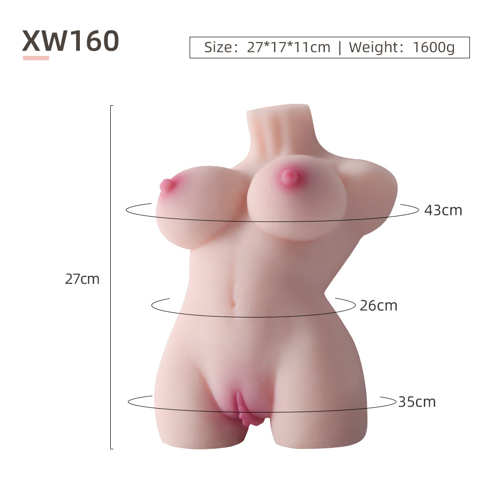 Female Torso (No Skeleton)-XW160