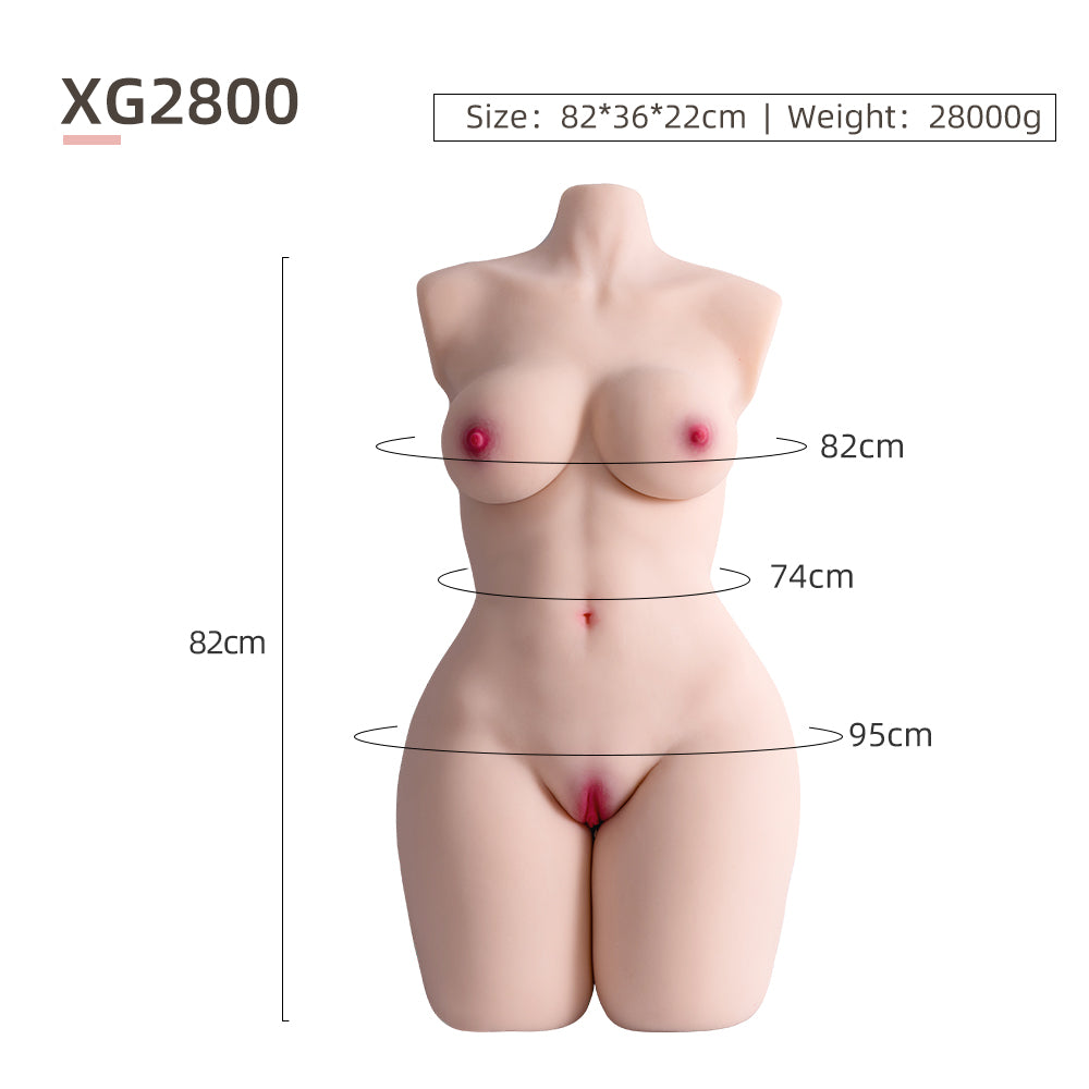 Female Torso (With Skeleton)-XG2800