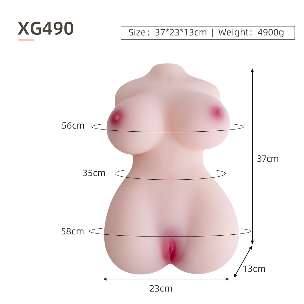 Female Torso (With Skeleton)-XG490