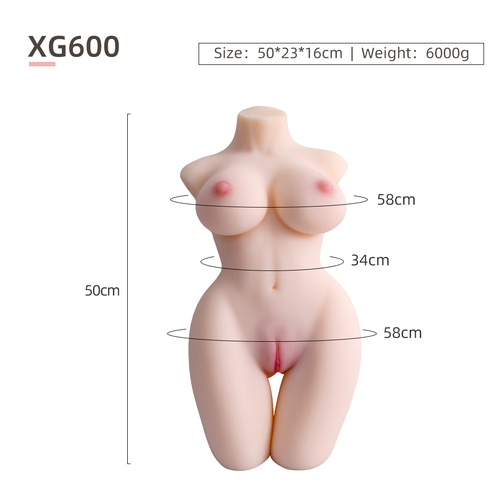 Female Torso (With Skeleton)-XG600