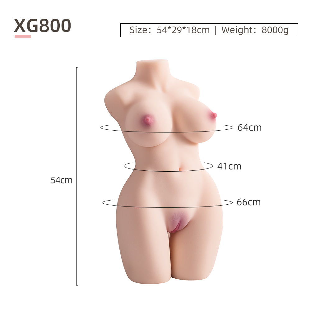 Female Torso (With Skeleton)-XG800