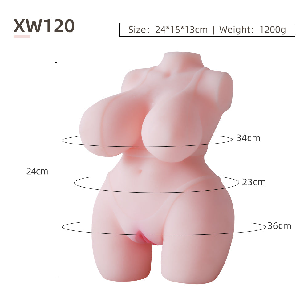 Female Torso (No Skeleton)-XW120