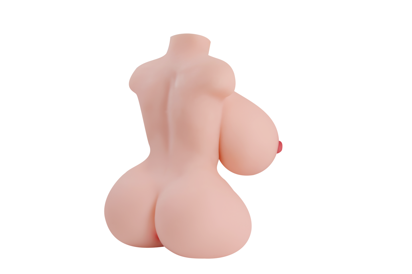 Female Torso with Skeleton (Usable Breasts)-4X600