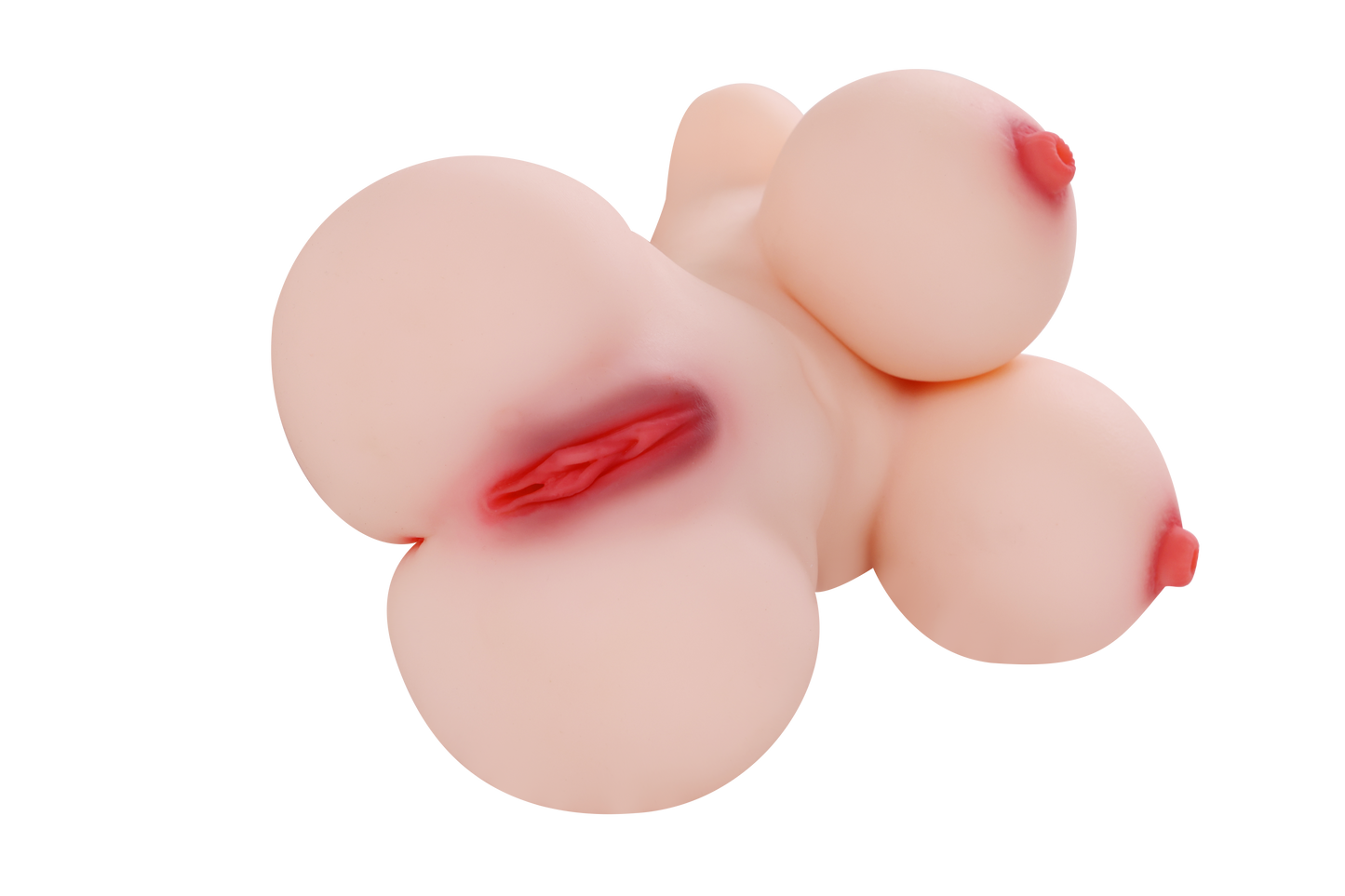 Female Torso with Skeleton (Usable Breasts)-4X600