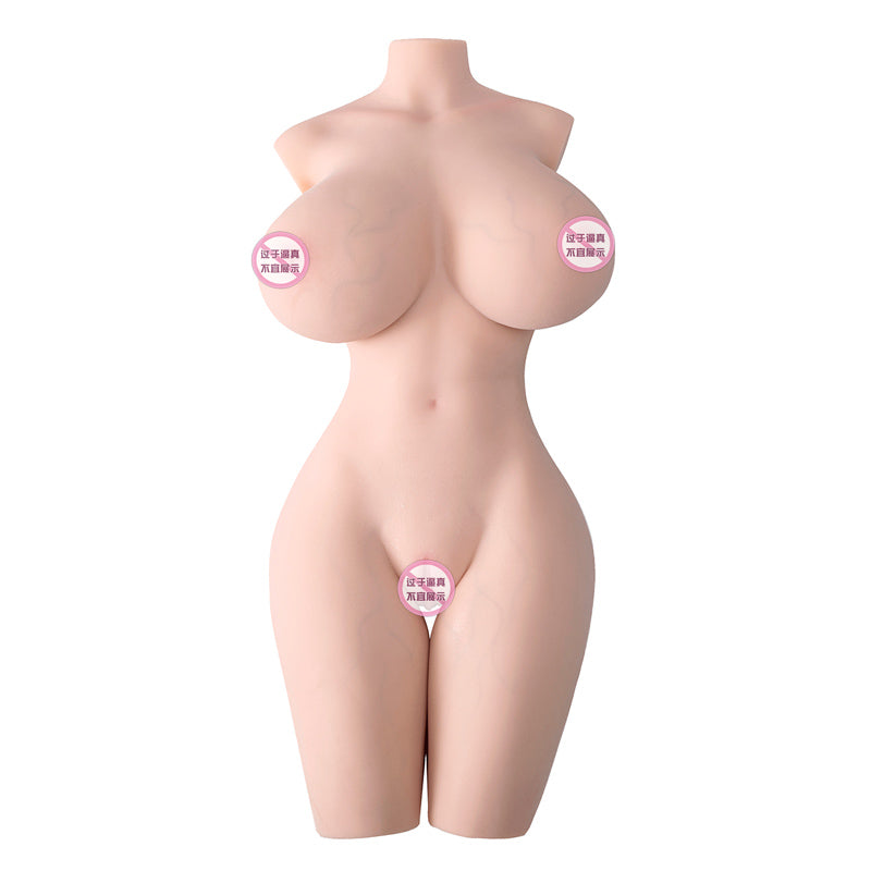 Female Torso (With Skeleton)-XG2200