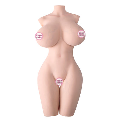 Female Torso (With Skeleton)-XG2200