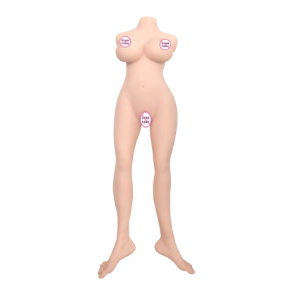 Torso & Legs Model – Dream Series-DREAM75