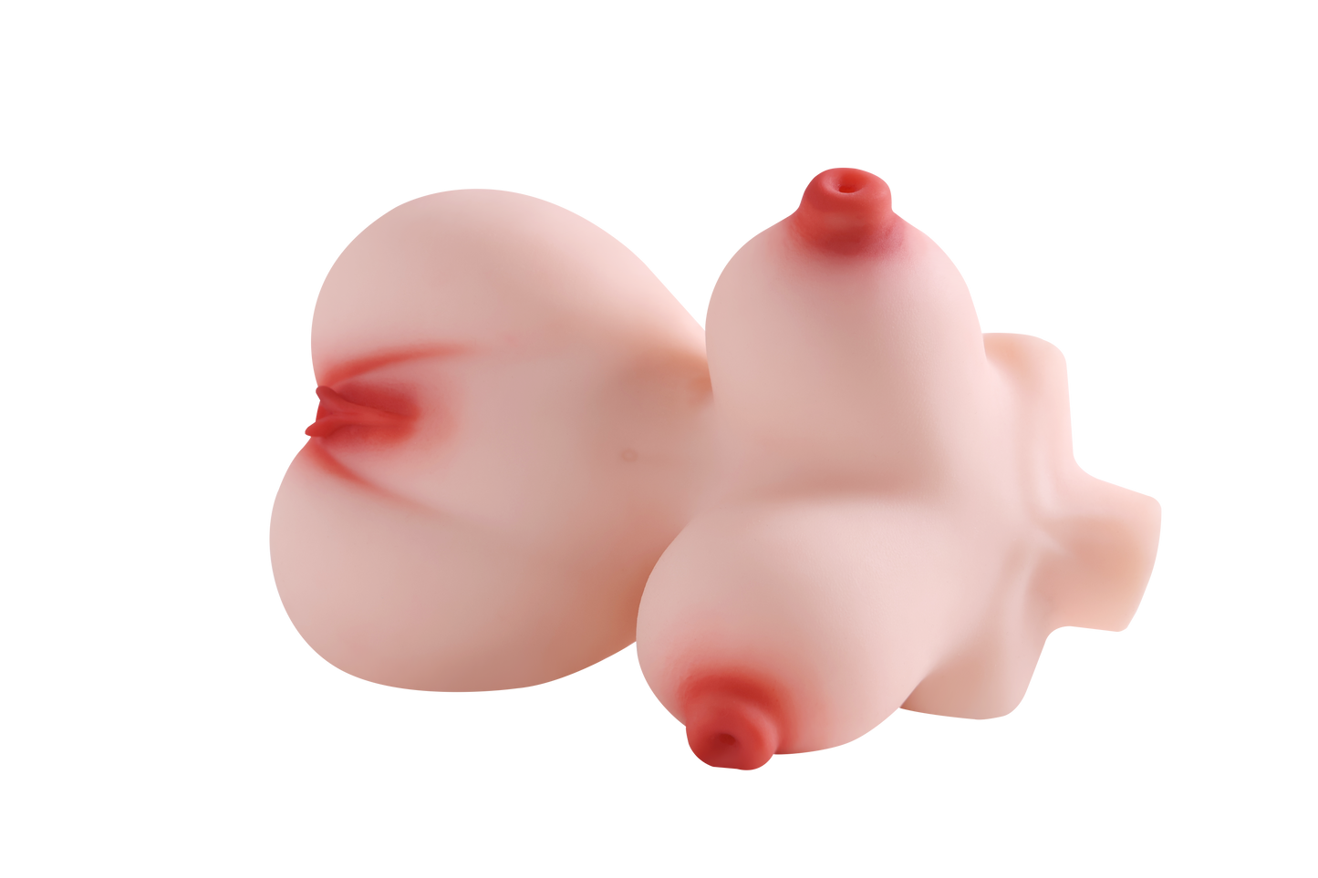 Female Torso with Skeleton (Usable Breasts)-4X290