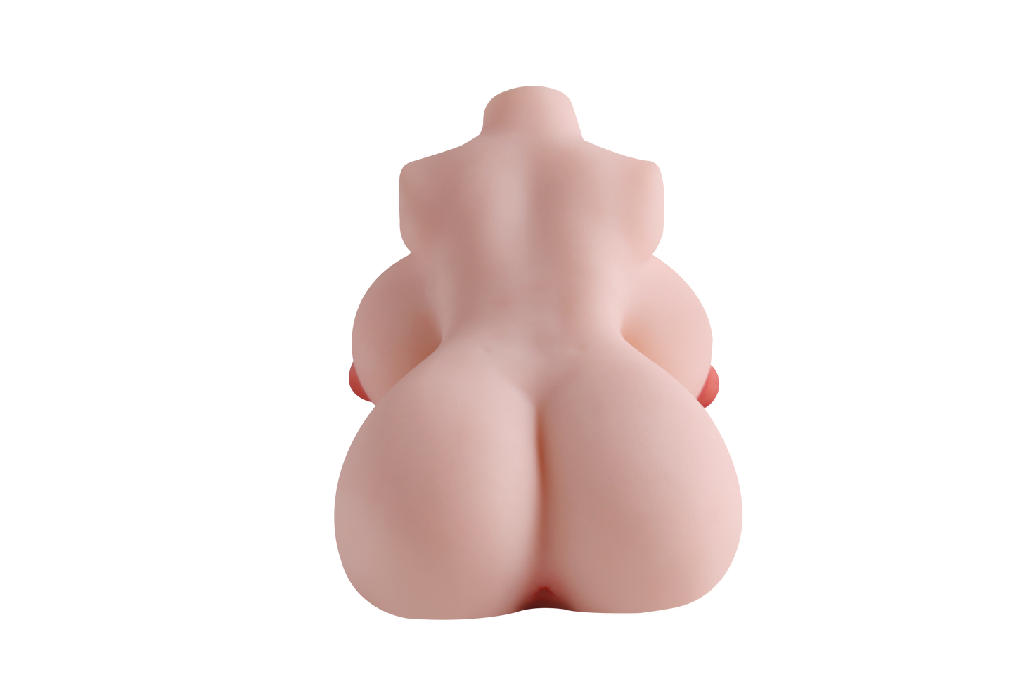 Female Torso with Skeleton (Usable Breasts)-4X290