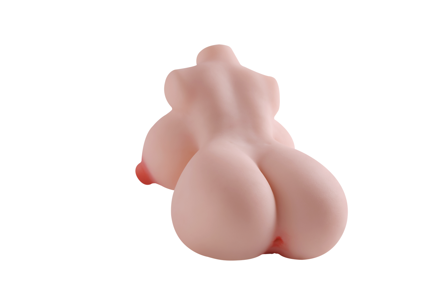 Female Torso with Skeleton (Usable Breasts)-4X290