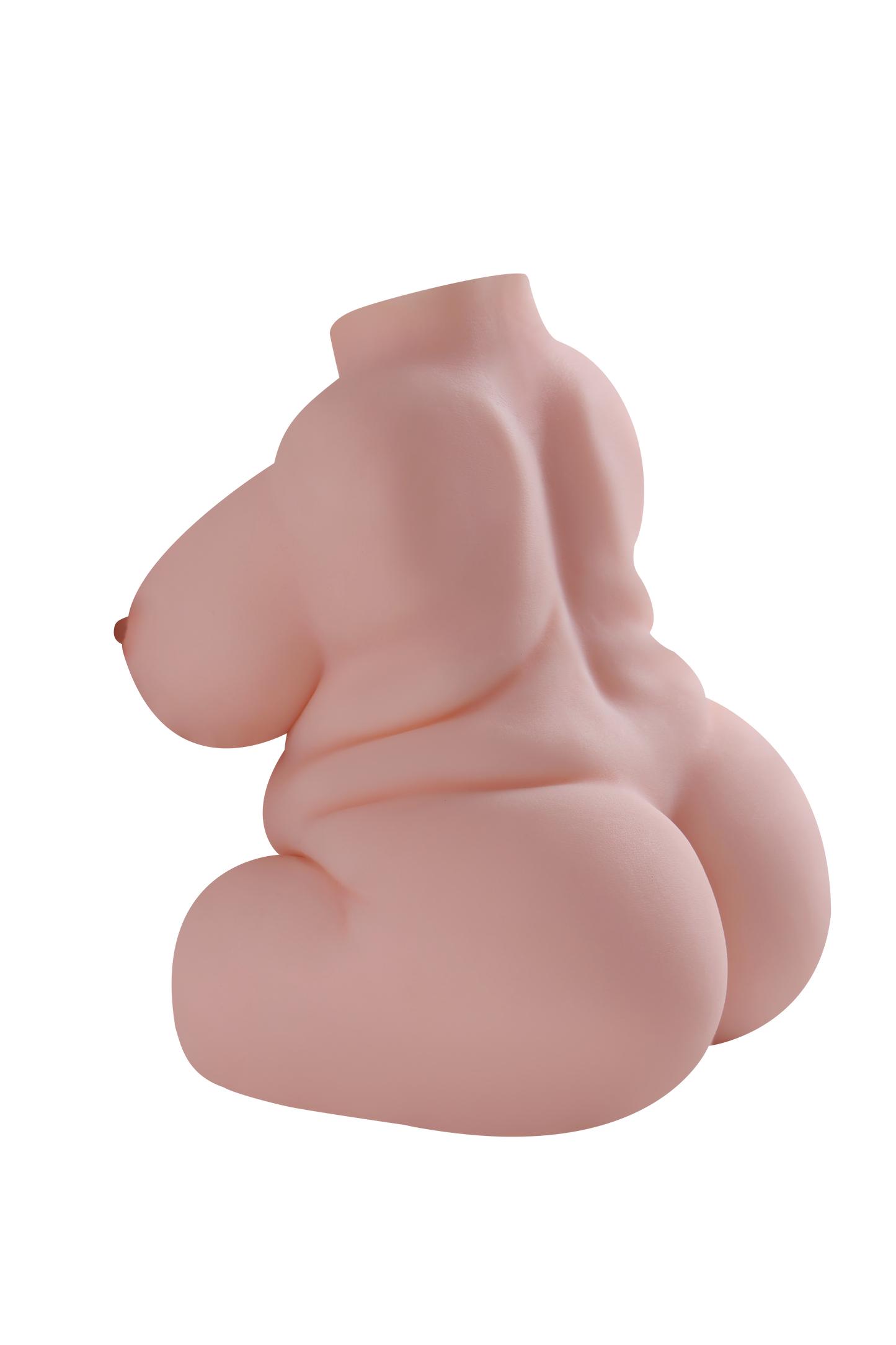 Female Torso (With Skeleton)-XG580P