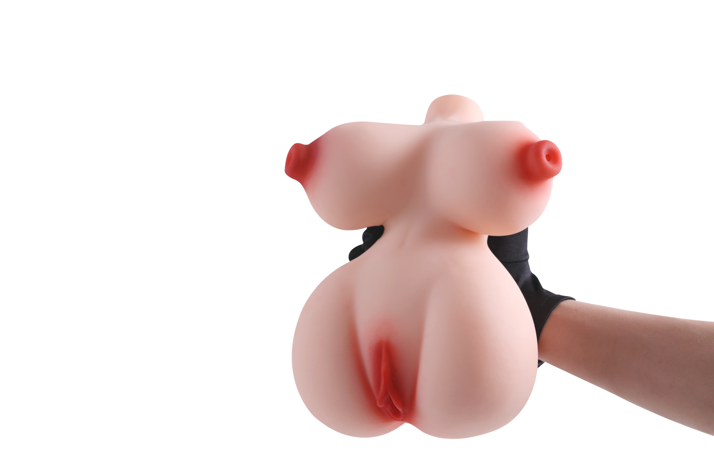 Female Torso with Skeleton (Usable Breasts)-4X290