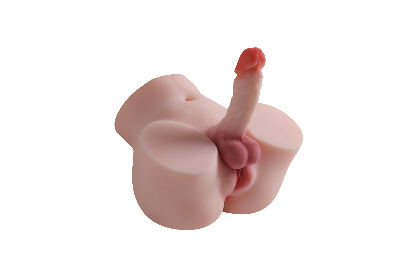 Trans Model-RY420