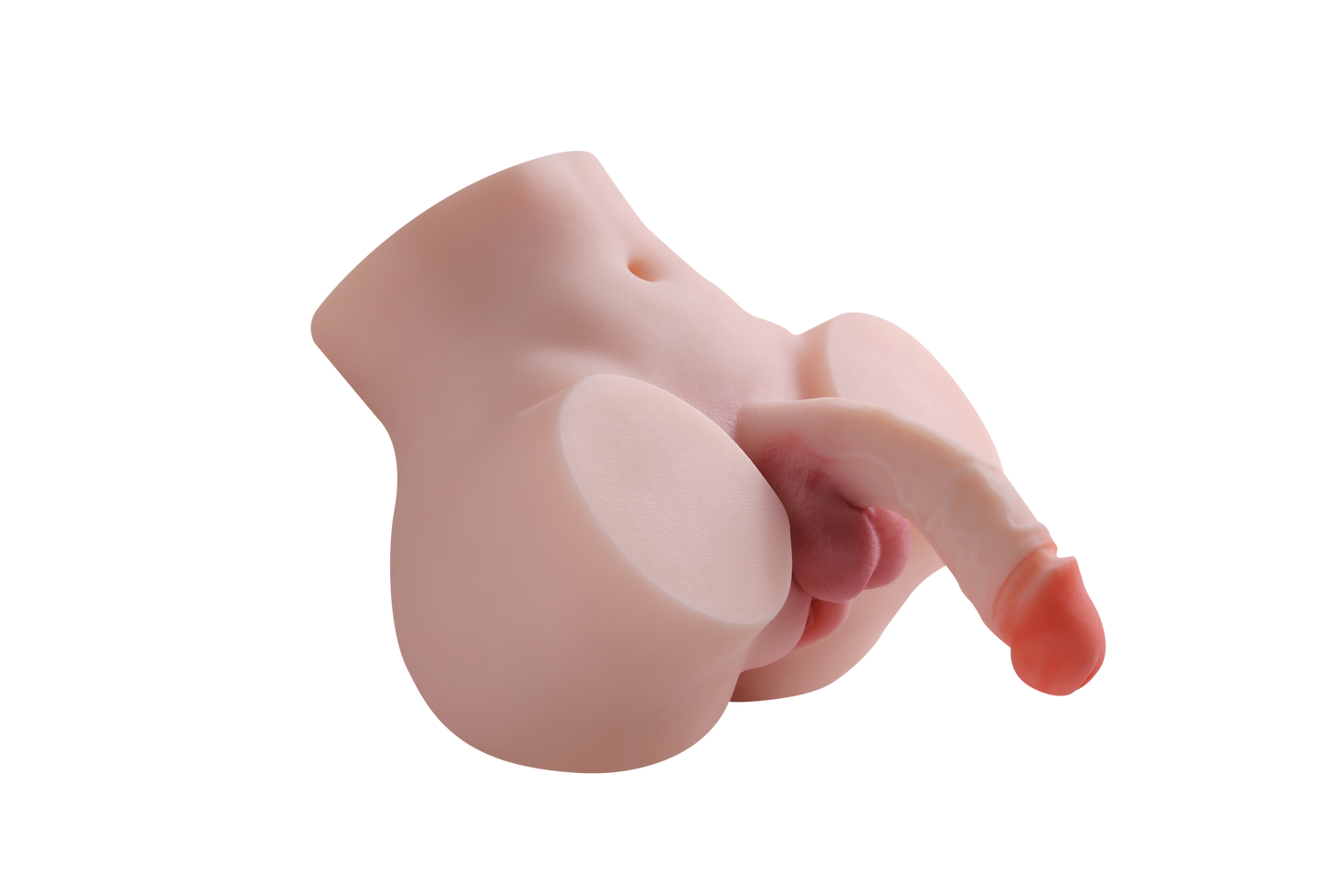 Trans Model-RY420