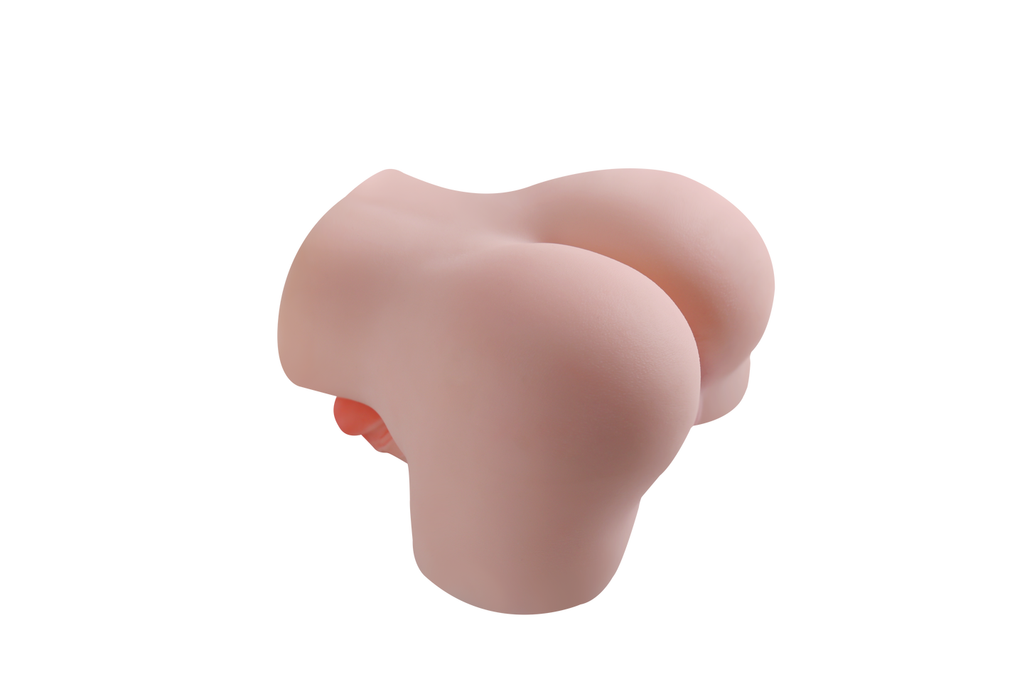 Trans Model-RY420