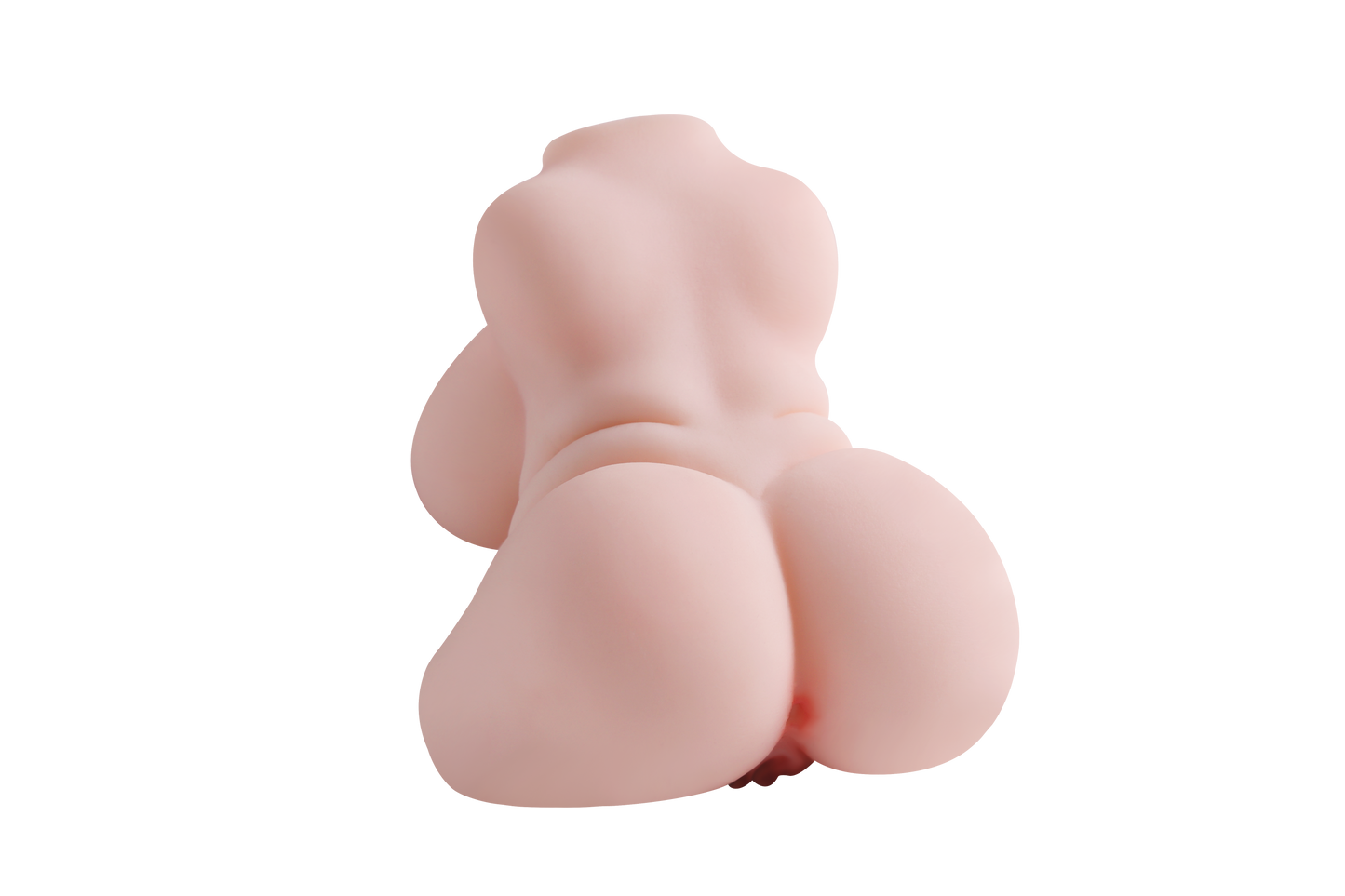Female Torso (With Skeleton)-XG250P