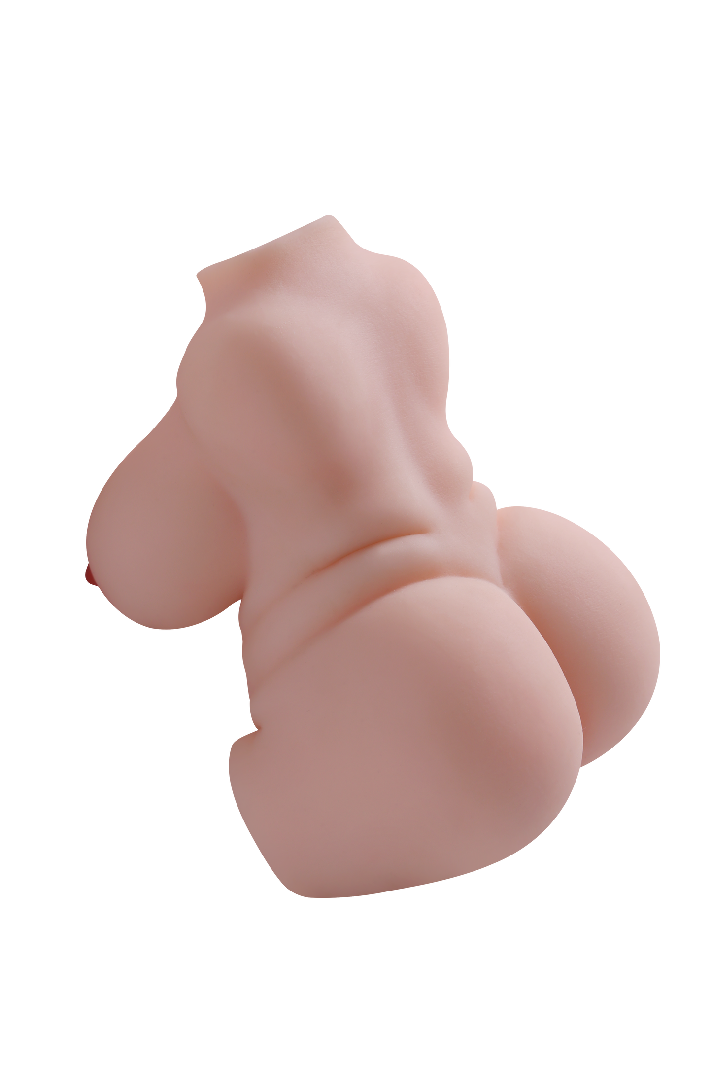 Female Torso (With Skeleton)-XG250P