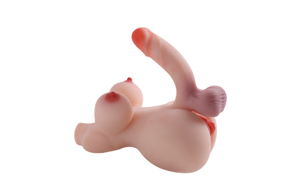 Trans Model-RY180
