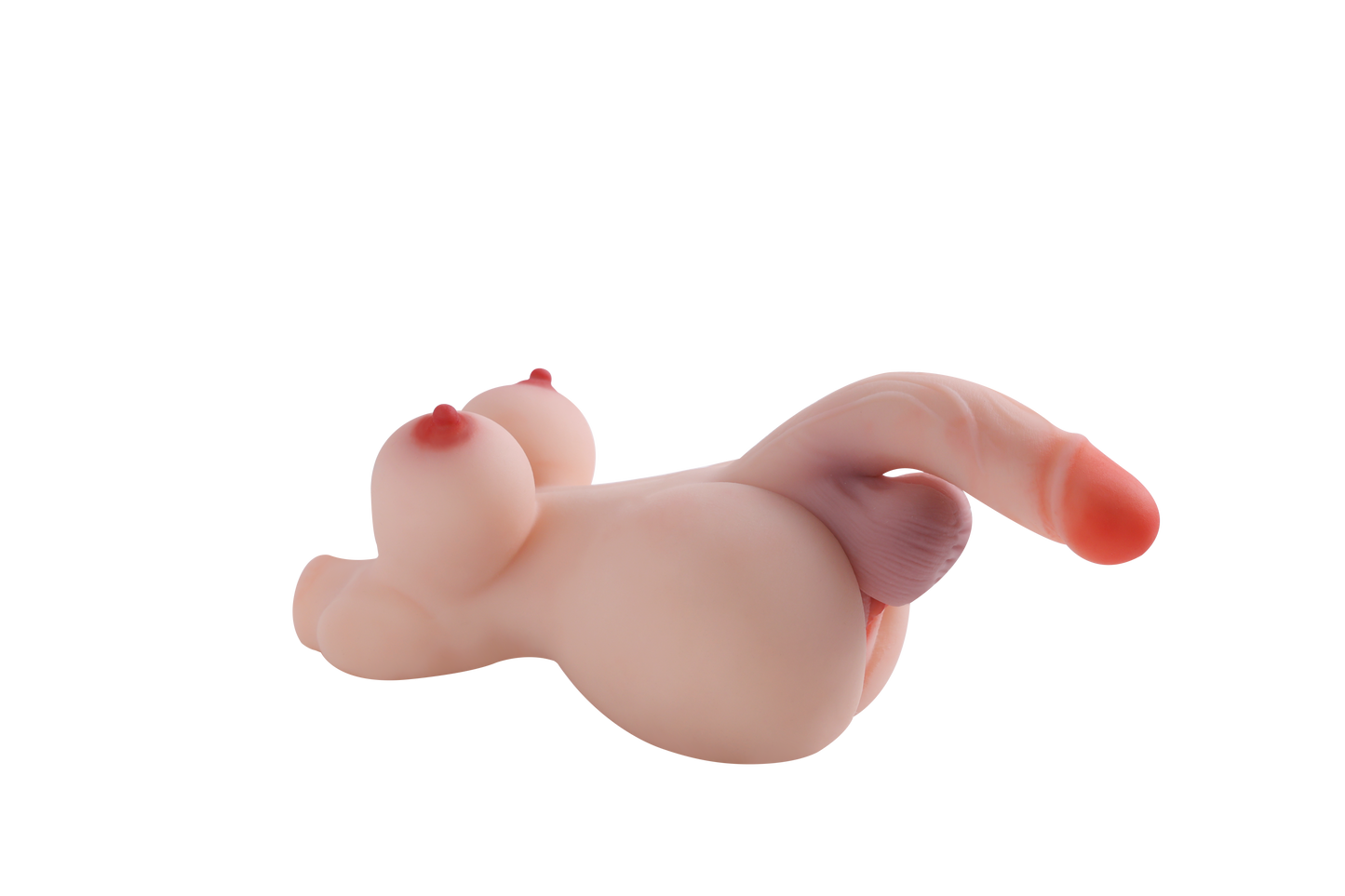 Trans Model-RY180