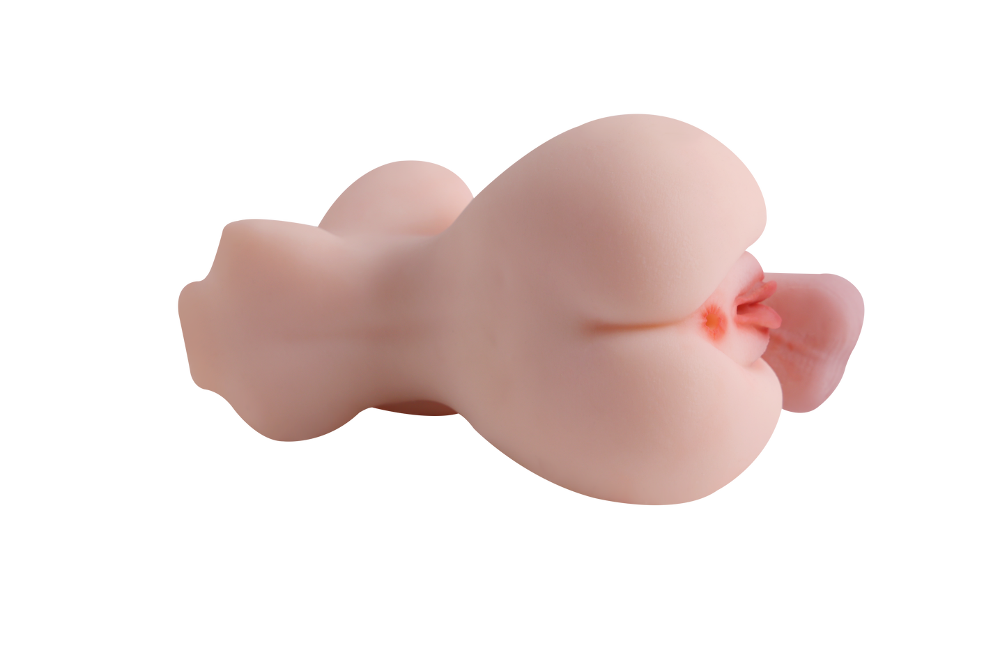 Trans Model-RY180