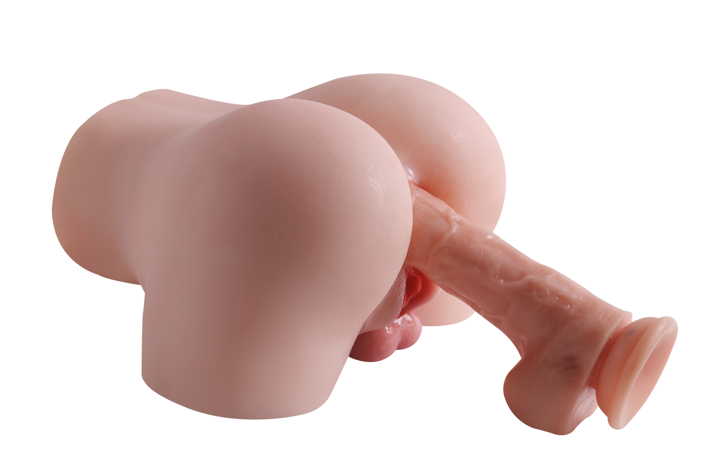 Trans Model-RY420