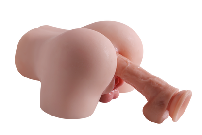 Trans Model-RY420