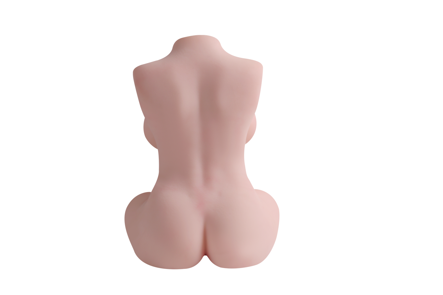 Female Torso (With Skeleton)-XG680