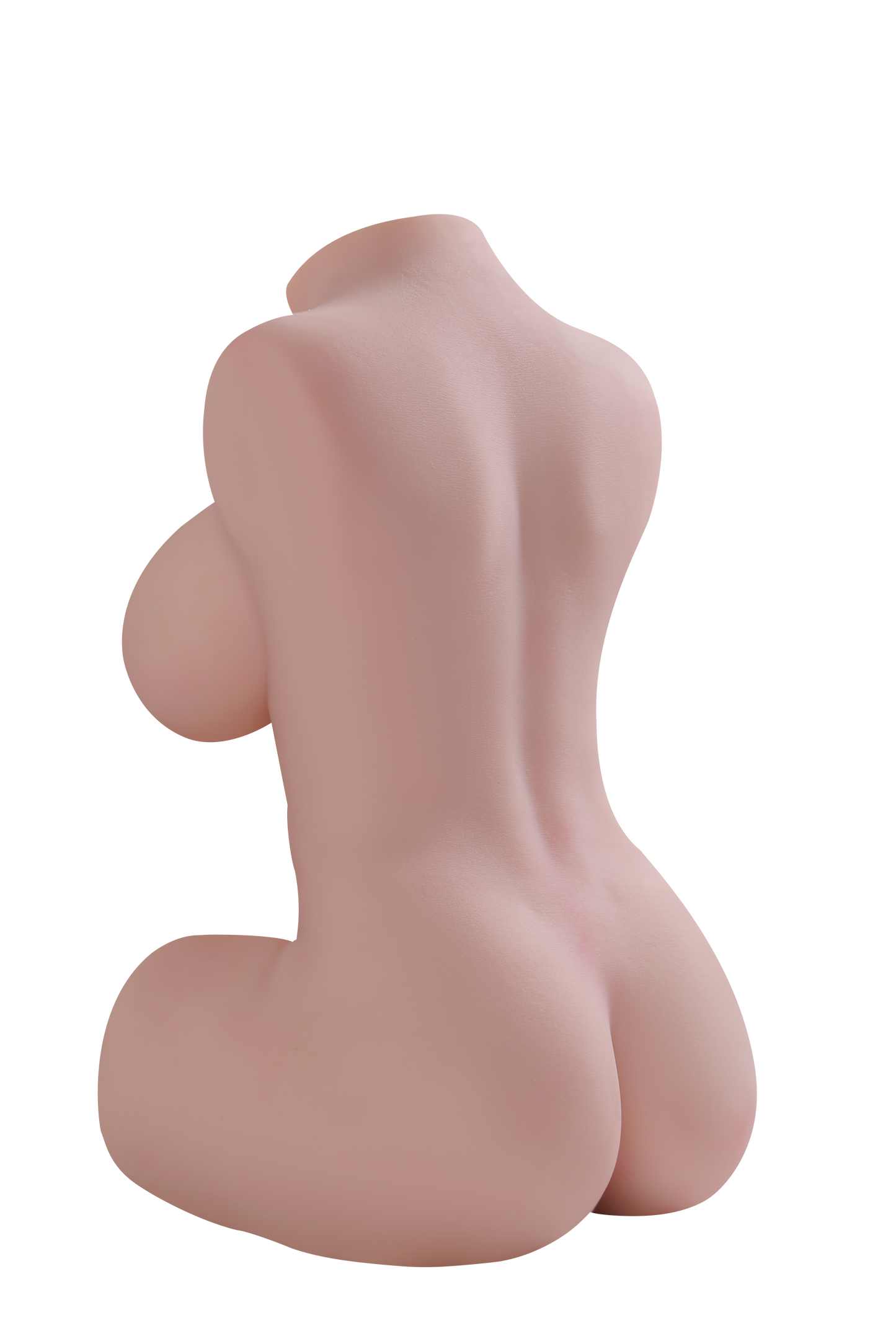 Female Torso (With Skeleton)-XG680