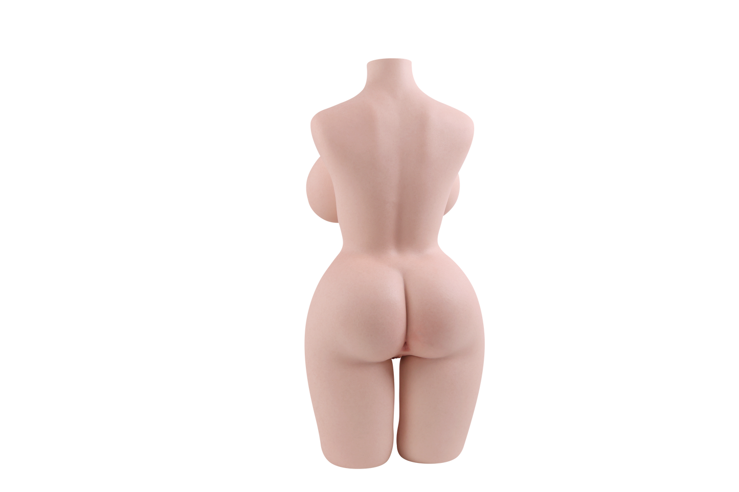Female Torso (With Skeleton)-XG1630