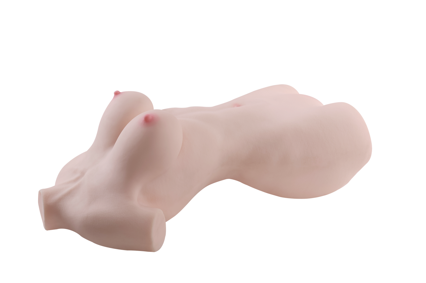 Female Torso (With Skeleton)-XG2610