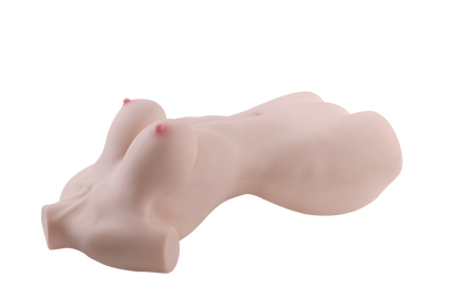 Female Torso (With Skeleton)-XG2610