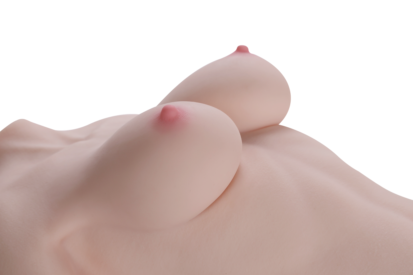 Female Torso (With Skeleton)-XG2610