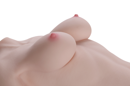 Female Torso (With Skeleton)-XG2610