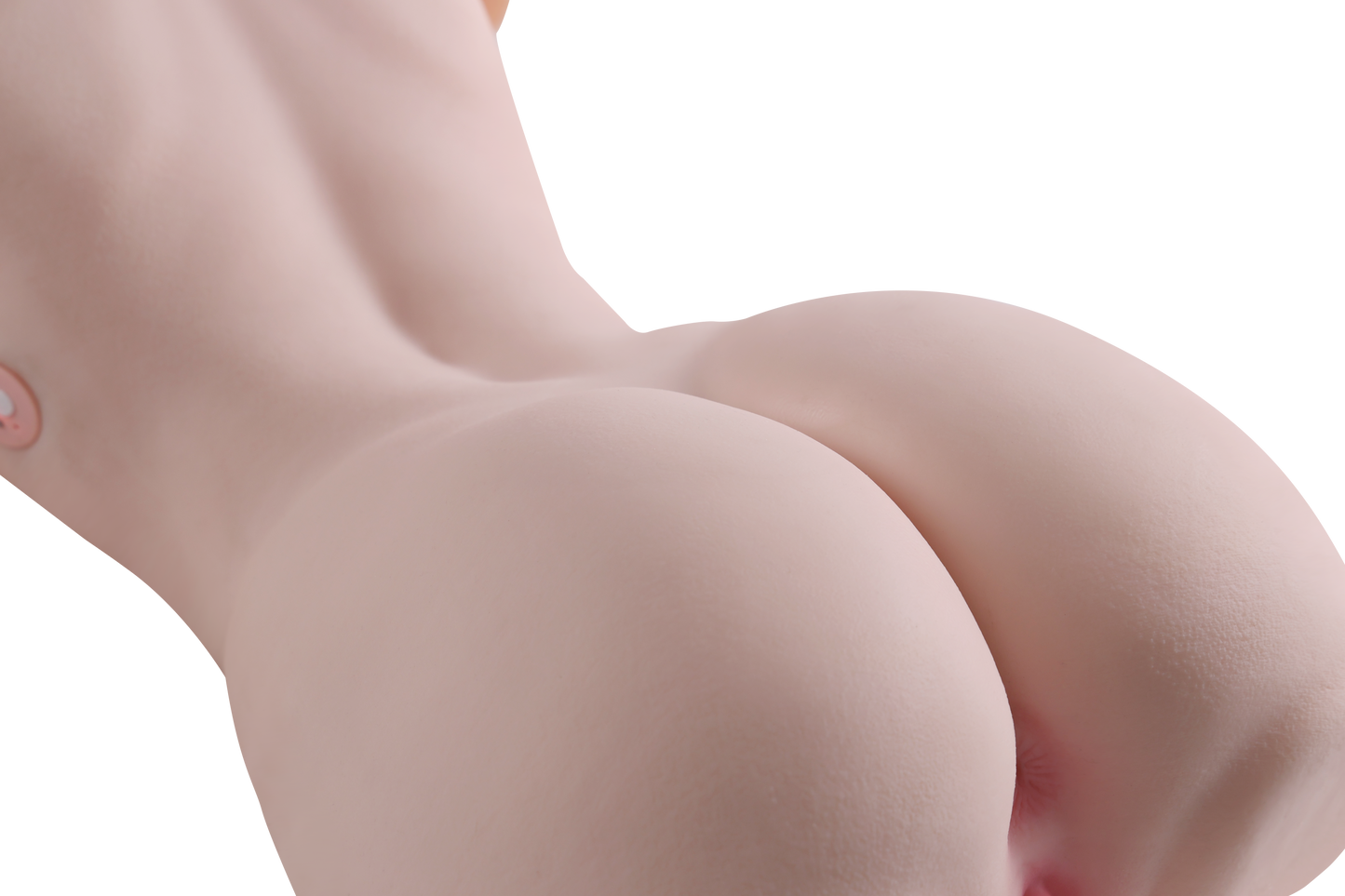 Female Torso (With Skeleton)-XG2610