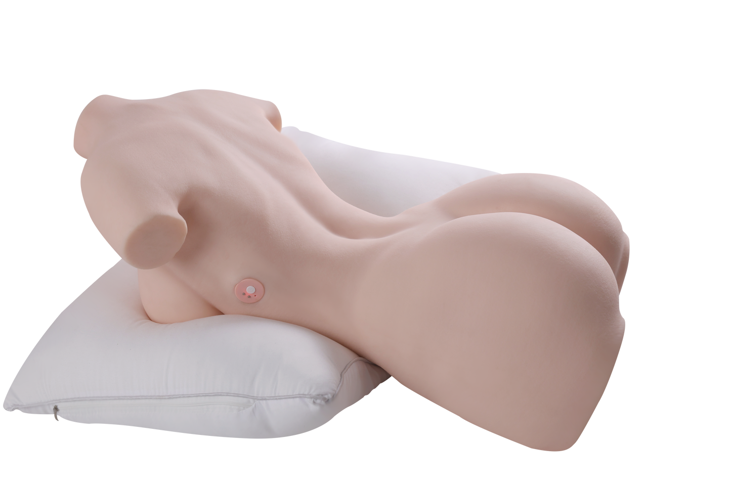 Female Torso (With Skeleton)-XG2610