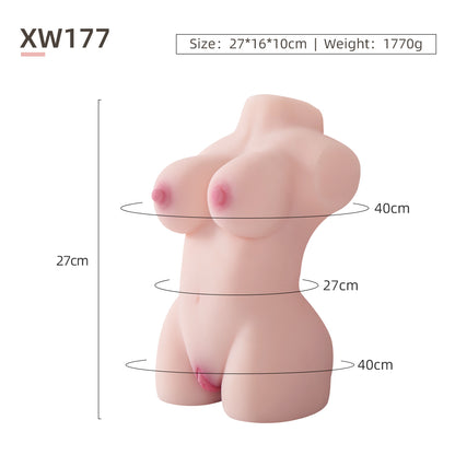 Female Torso (No Skeleton)-XW177