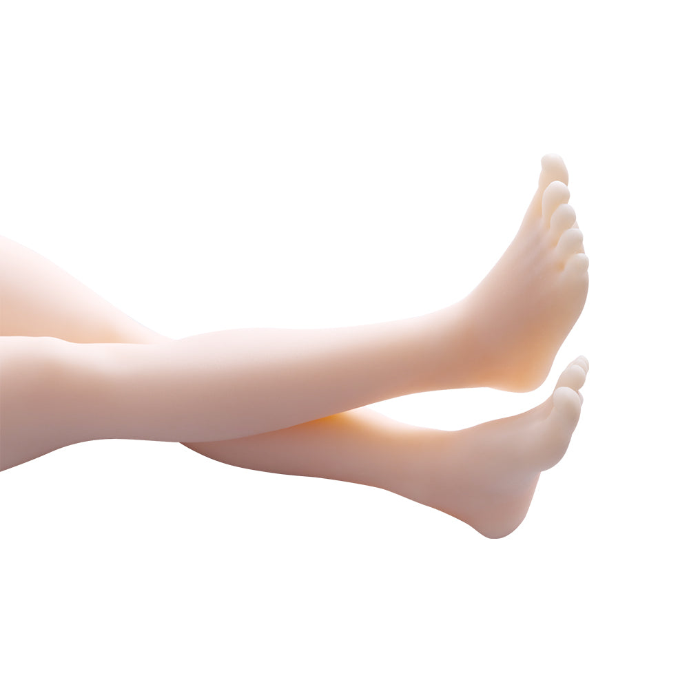 Torso & Legs Model – Dream Series-DREAM80