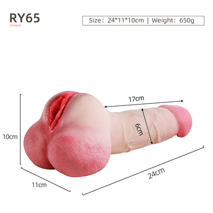 Male Model – Genital Version-RY65