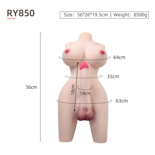 Trans Model-RY850