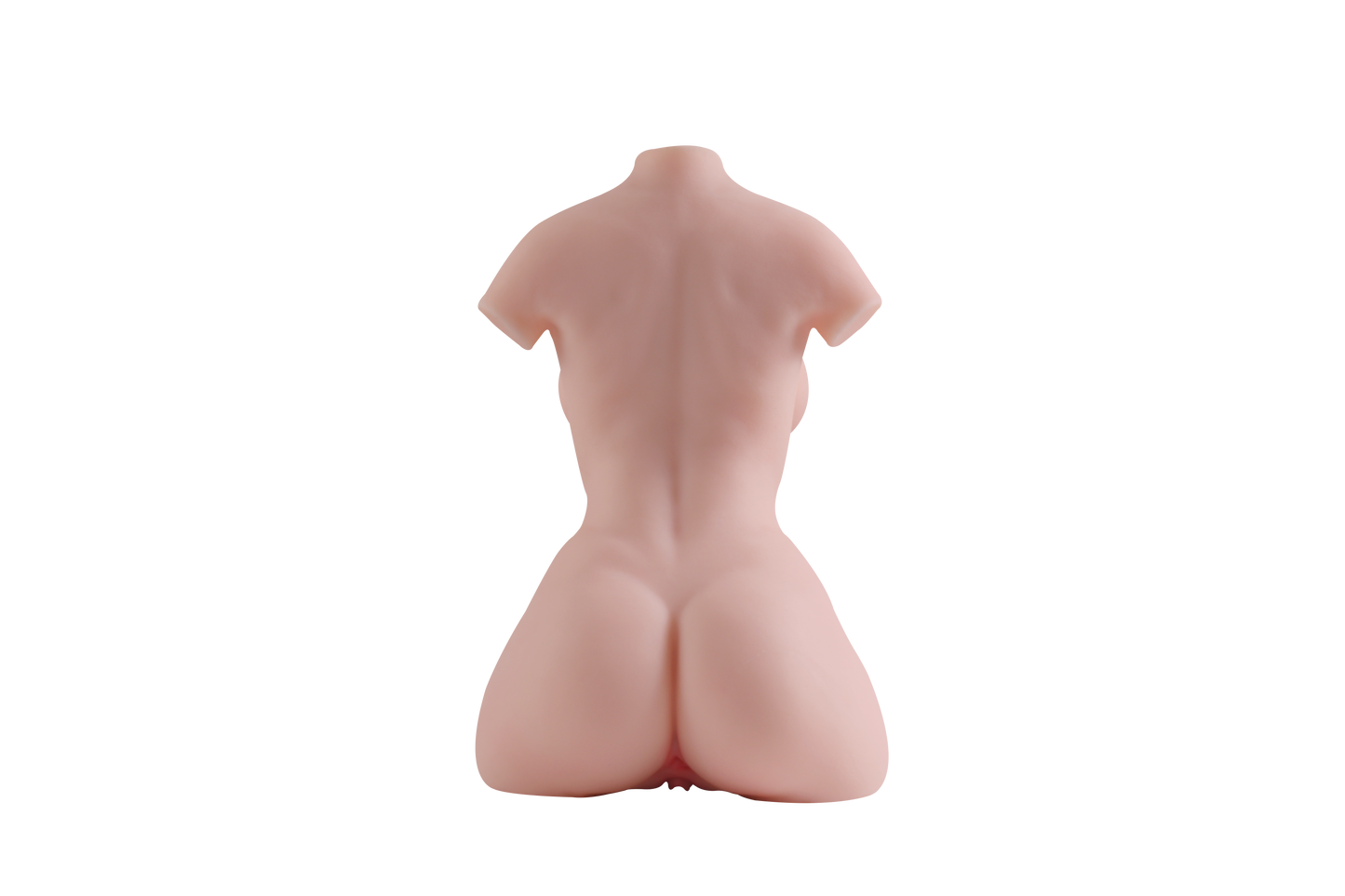 Female Torso (With Skeleton)-XG740