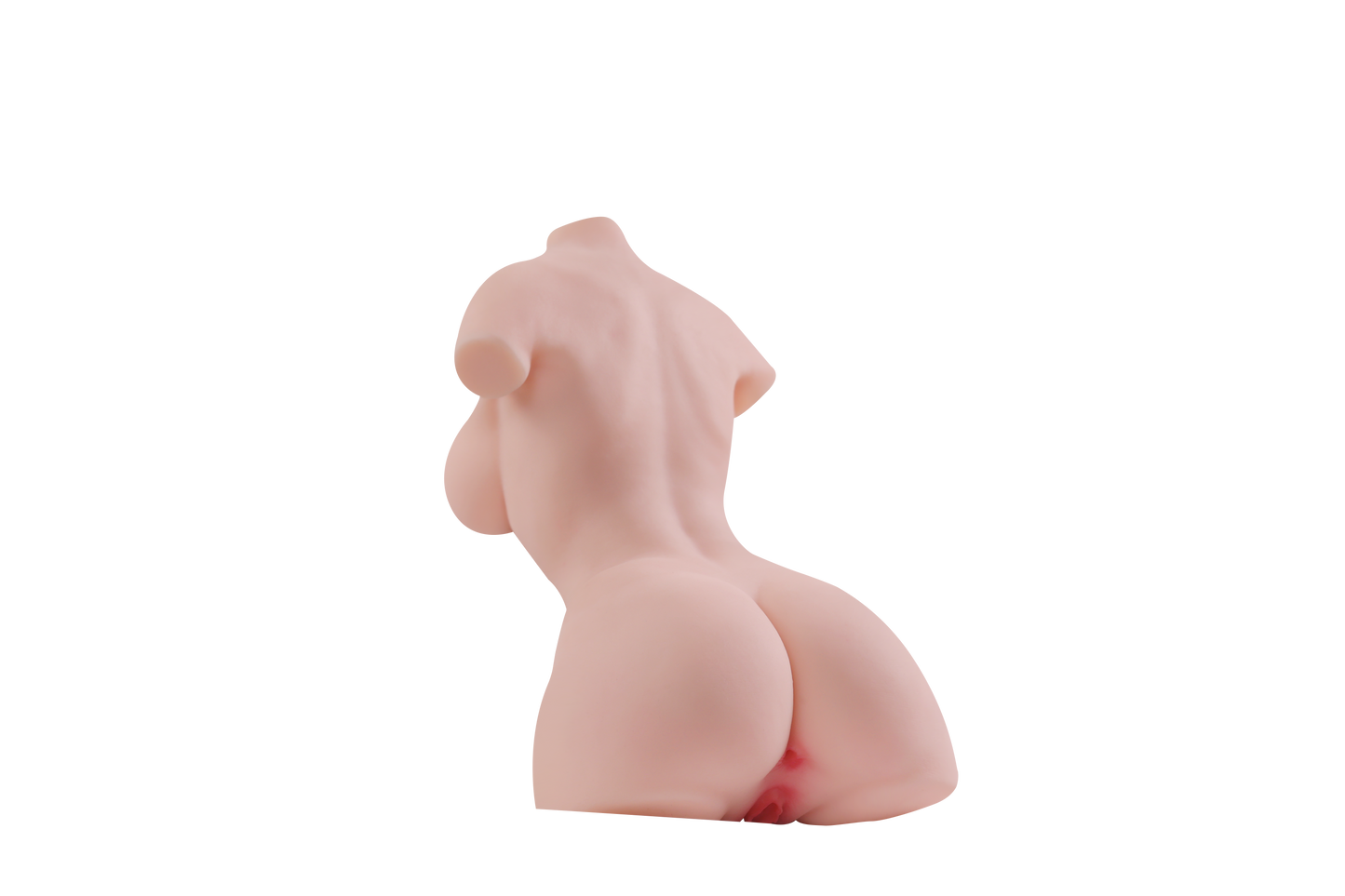 Female Torso (With Skeleton)-XG740