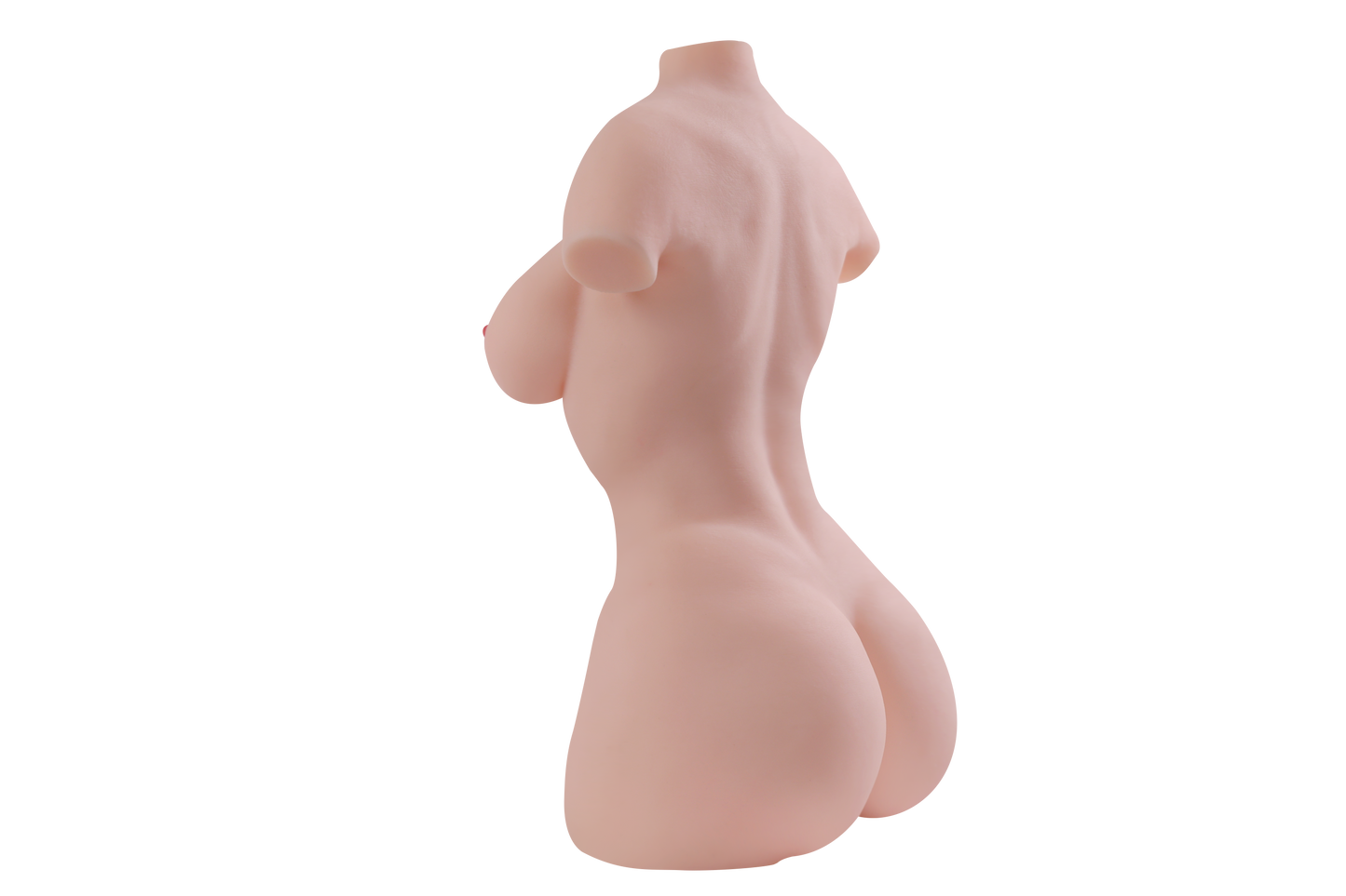 Female Torso (With Skeleton)-XG740