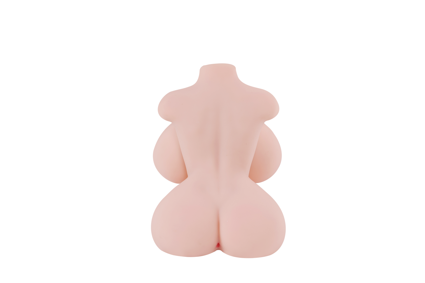 Female Torso with Skeleton (Usable Breasts)-4X815