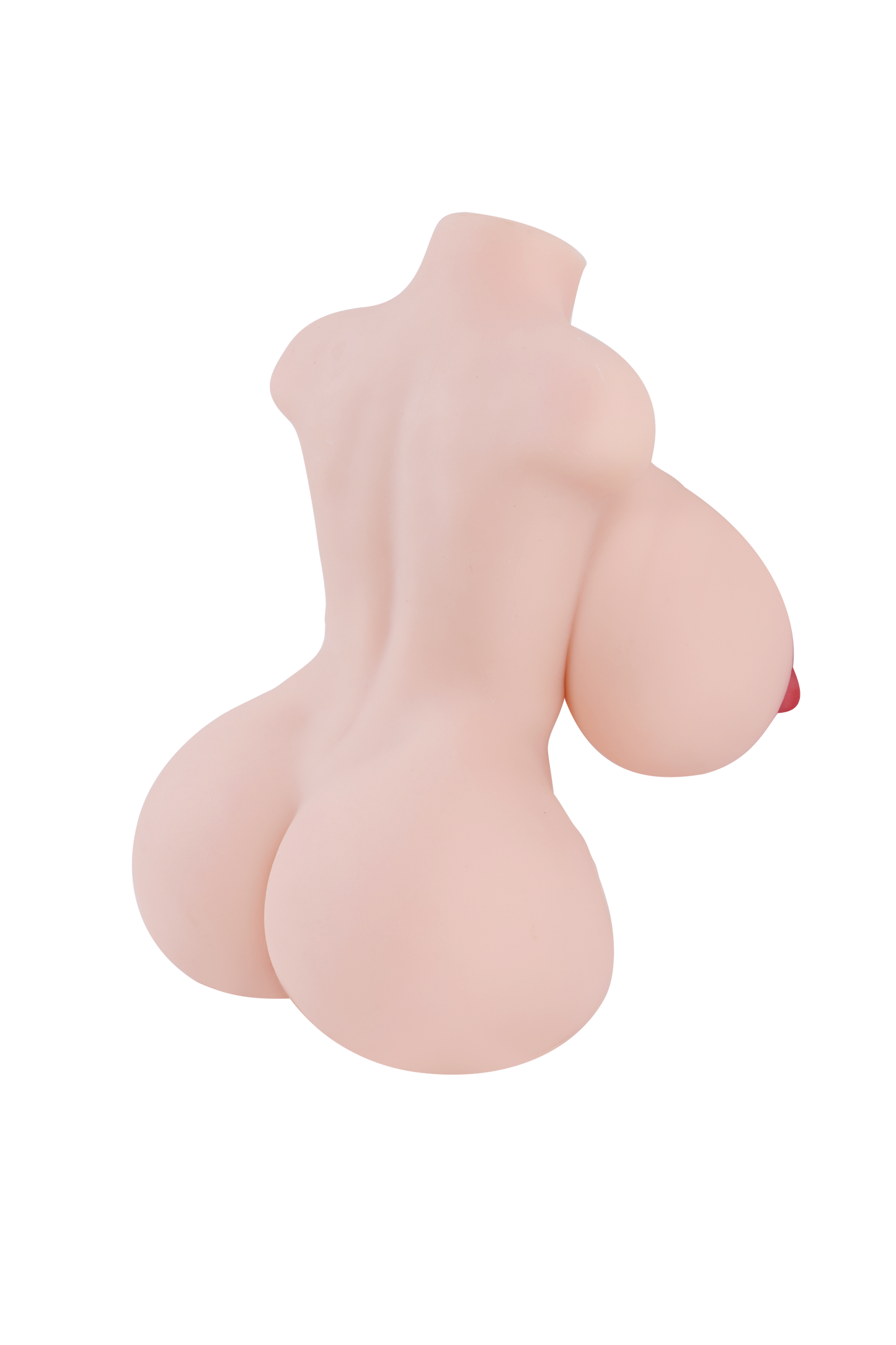 Female Torso with Skeleton (Usable Breasts)-4X815