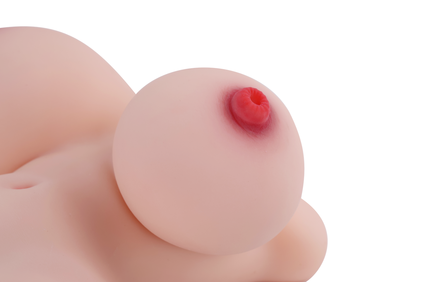 Female Torso with Skeleton (Usable Breasts)-4X815